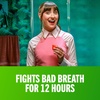 image:imageTheraBreath Fresh Breath Dentist Formulated Oral Rinse Icy Mint 3 Ounce Pack of 6Mild Mint