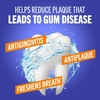image:imageTheraBreath Healthy Gums Oral Rinse Clean Mint 1 Liter