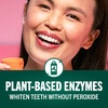 image:imageTheraBreath Whitening  Oil Blend Oral Rinse Smooth Mint 16 fl oz16 Fl Oz Pack of 1