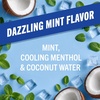 image:imageTheraBreath Whitening Toothpaste Dazzling Mint 4 oz 2PackWhitening